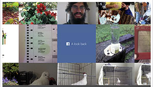 A photo grid from Facebook's "A Look Back" feature
