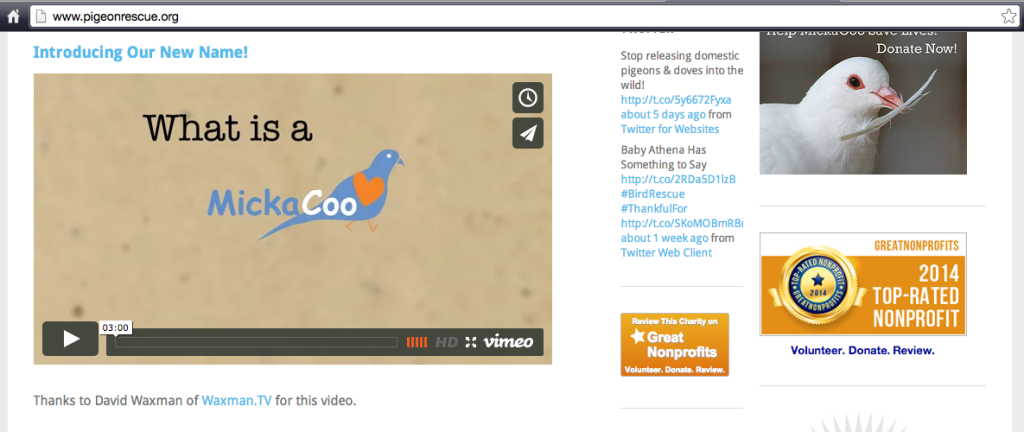 We're so proud to be featured on the PigeonRescue.org home page